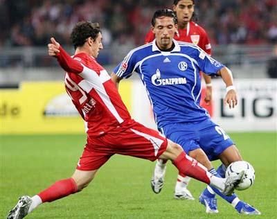 各个平台都 各个平台都